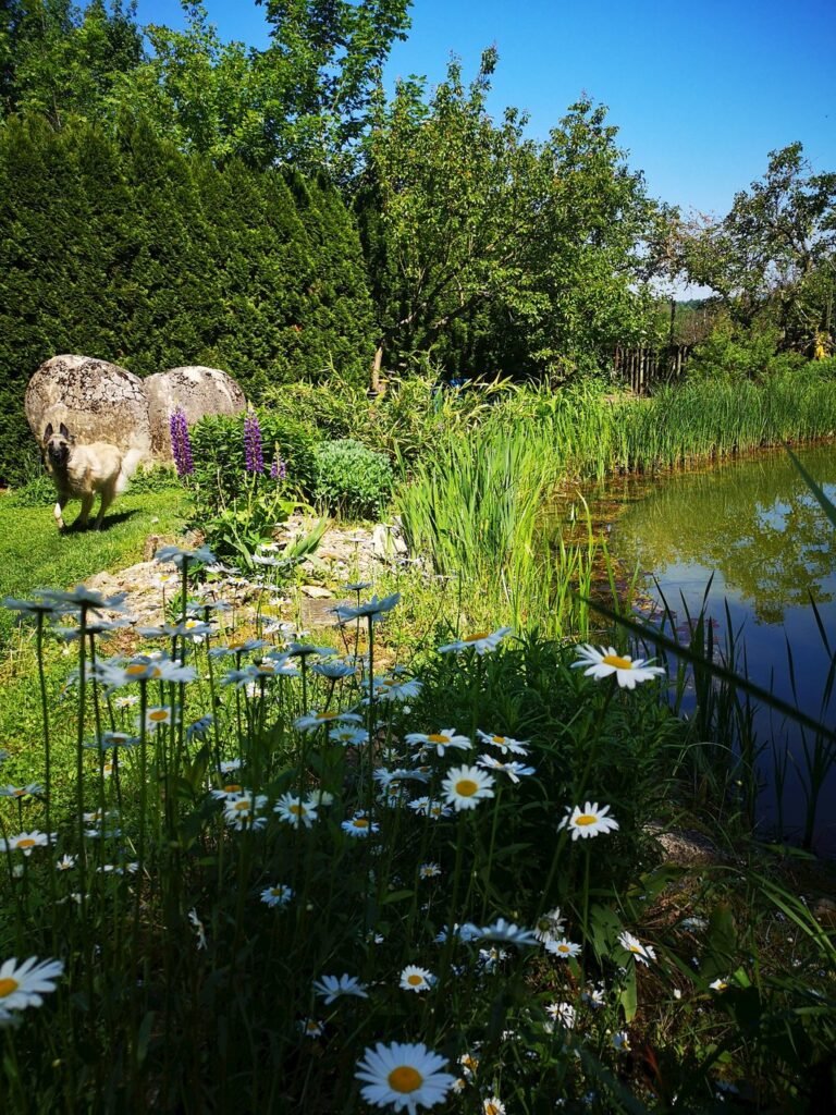 chalupa u ducha — foto 2