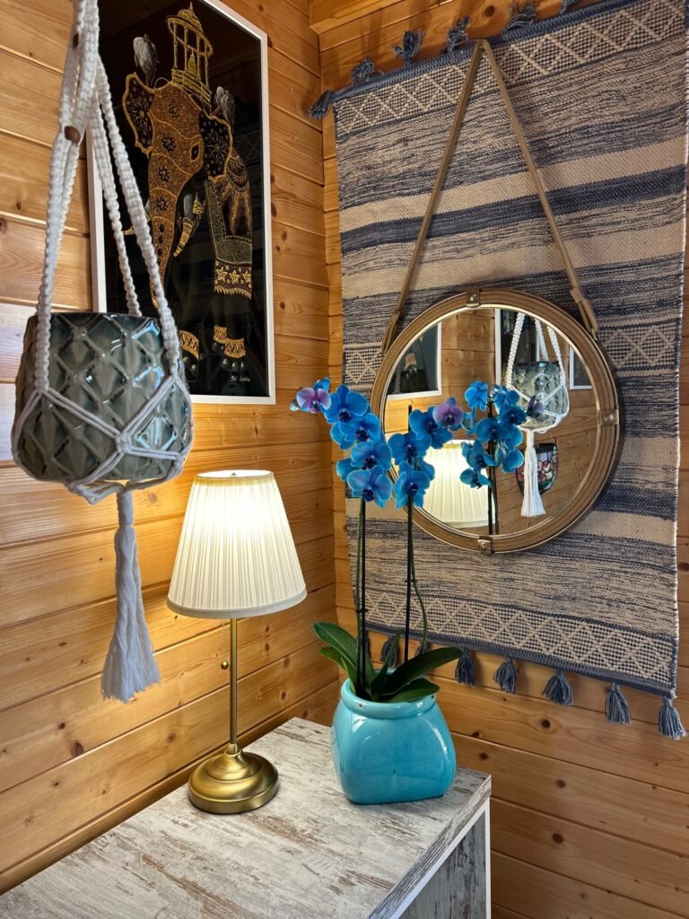 Drevenica sofia — foto 4