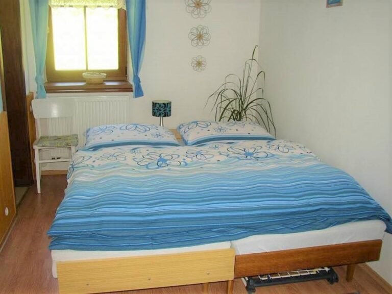 chalupa pod lesem novy rychnov