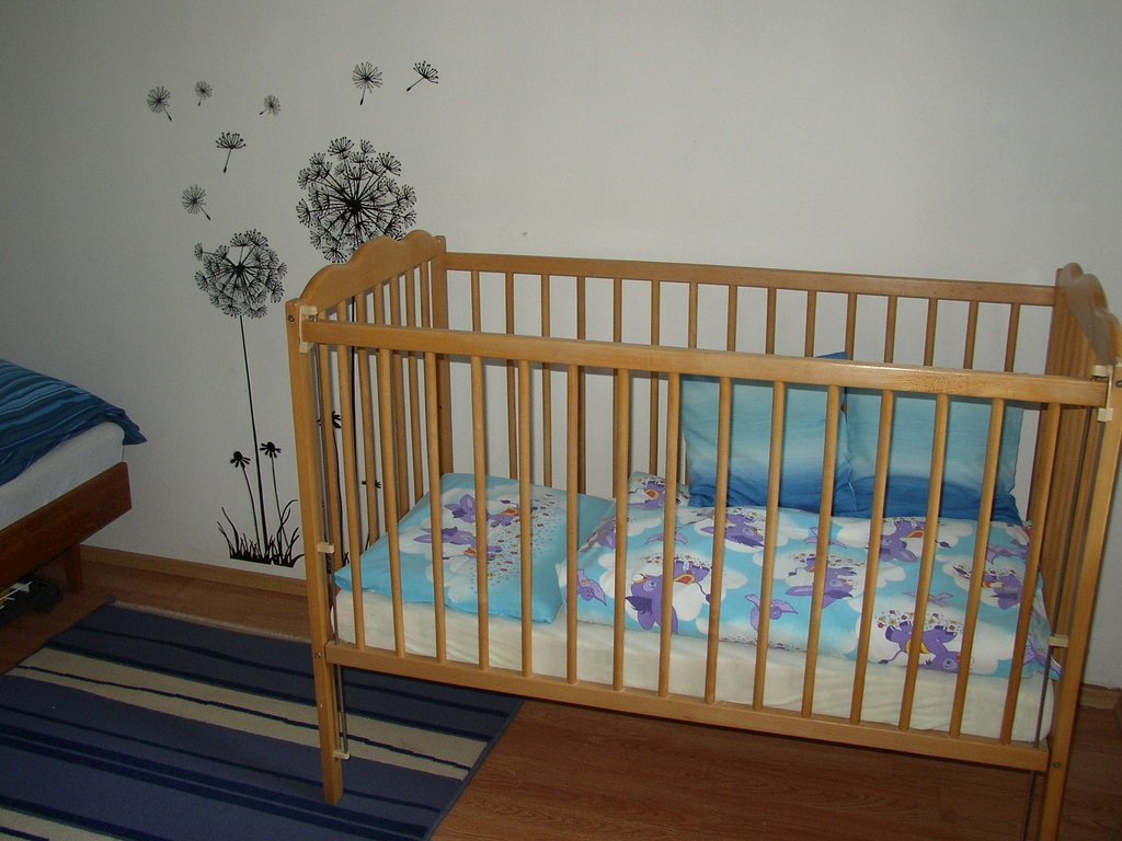 chalupa pod lesem novy rychnov — foto 3