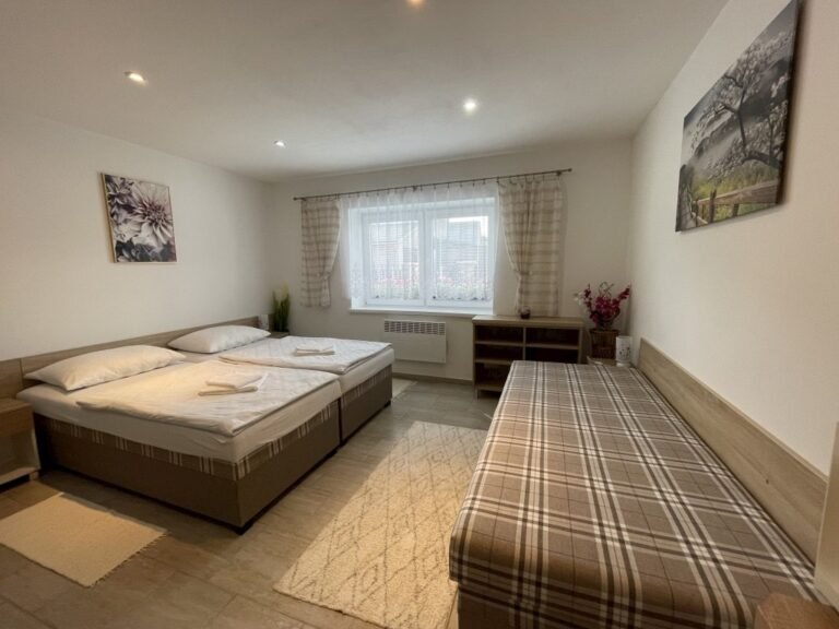 apartman daniela puchov