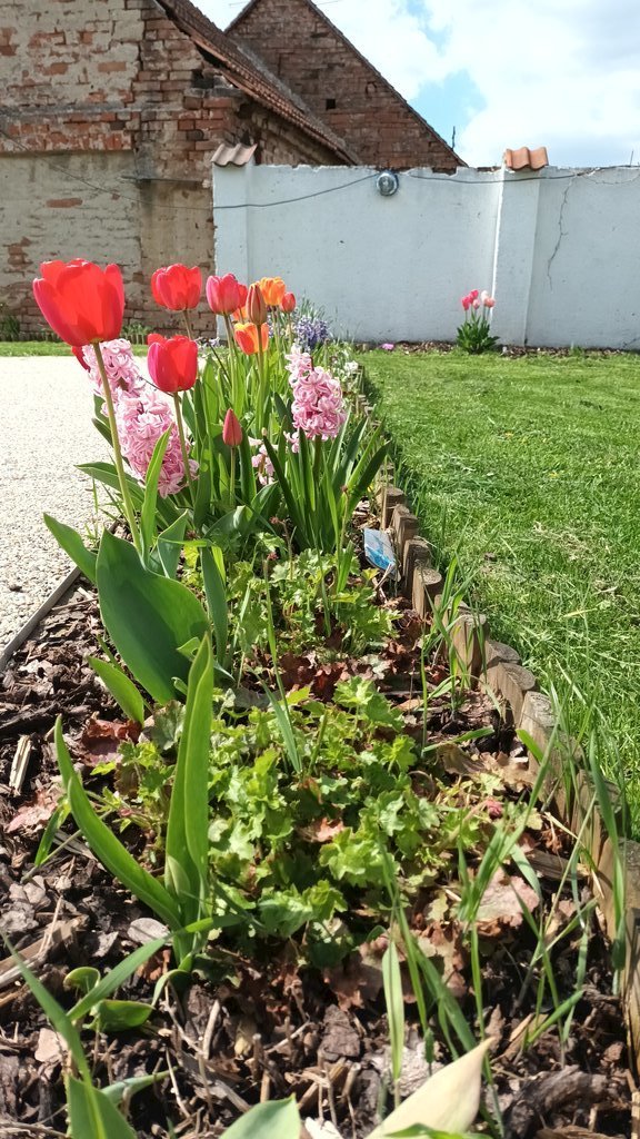 penzion u karla — foto 3