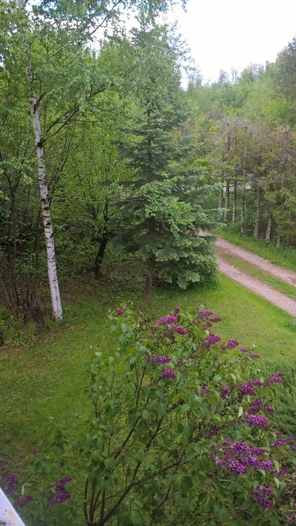 chata dusan — foto 2