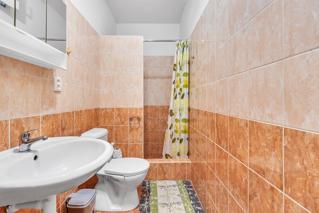 chalupa u stribrneho jelena — foto 3