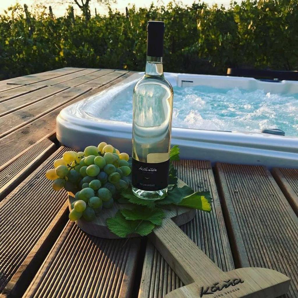 Apartmany a vinarstvi kana — foto 6