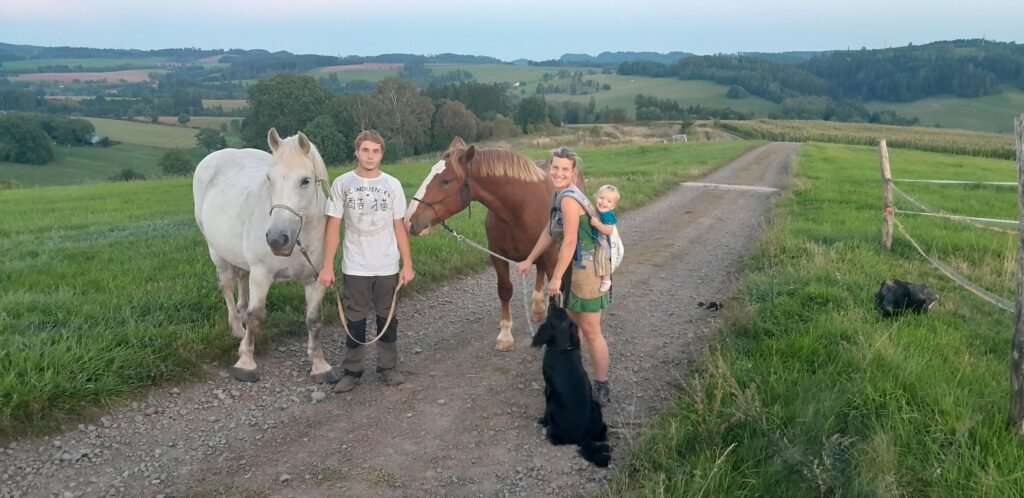 pension hermina — foto 2