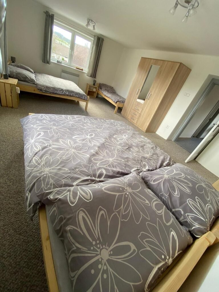 ubytovani s wellness