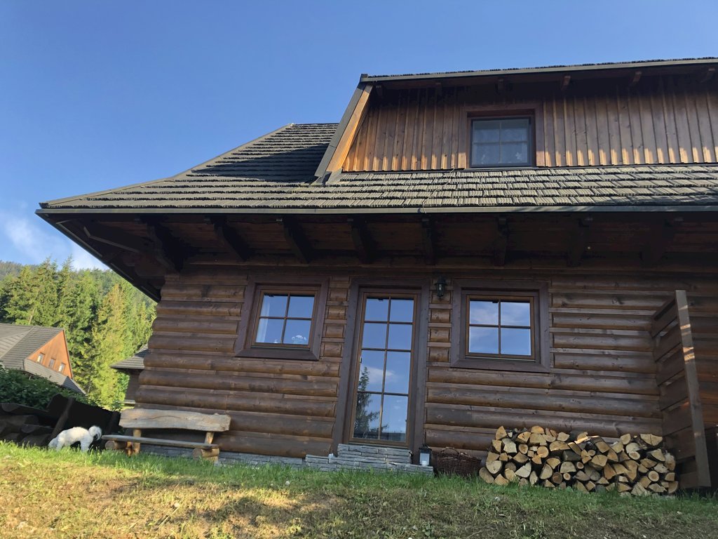 drevenica veverica — foto 3