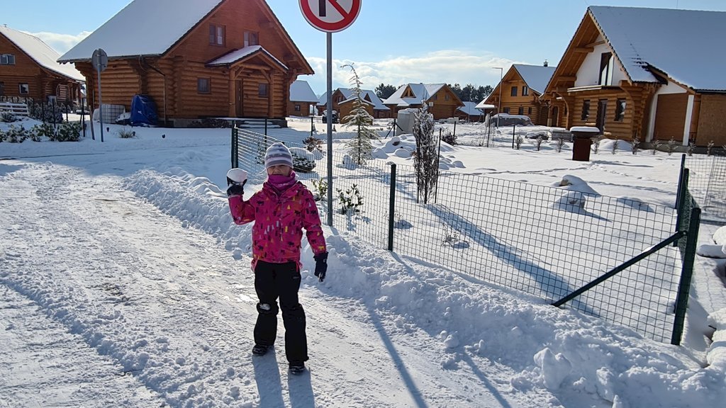 zrub diana — foto 2