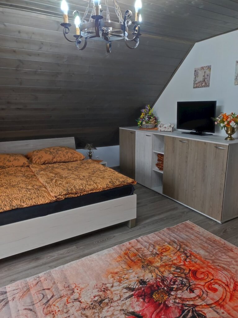Holiday house pocuvadlianske jazero — foto 6