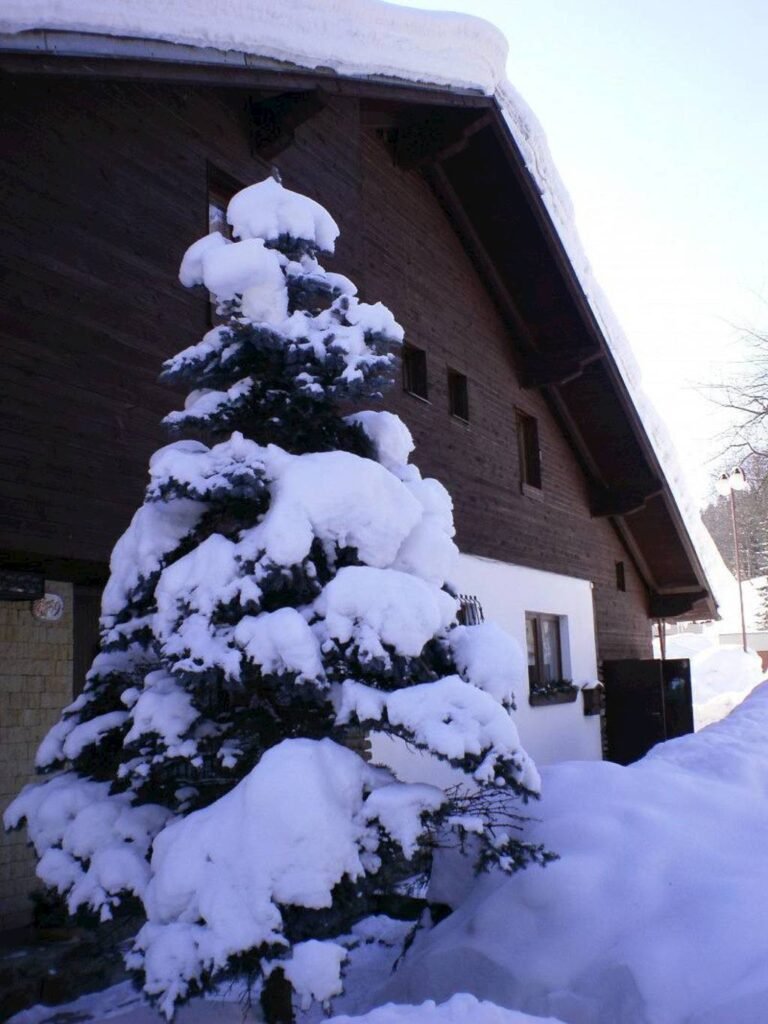 Apartman u beranu — foto 4