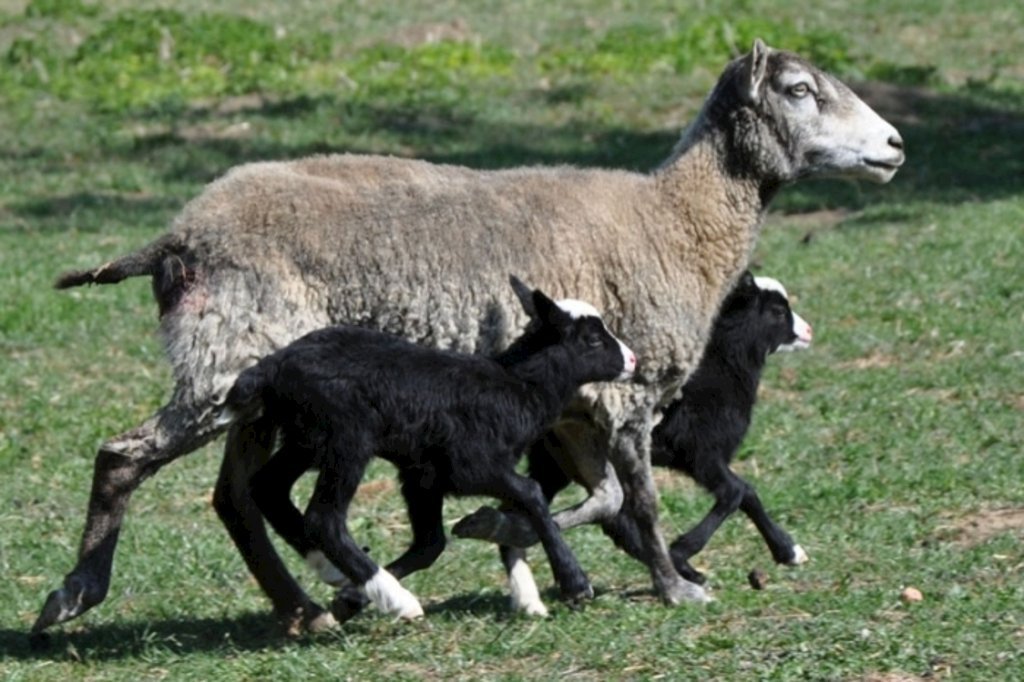penzion na kamenci — foto 2