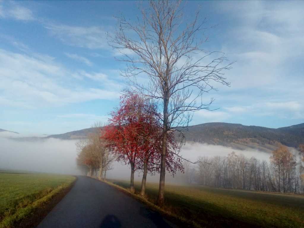 apartman pod straznikem — foto 5