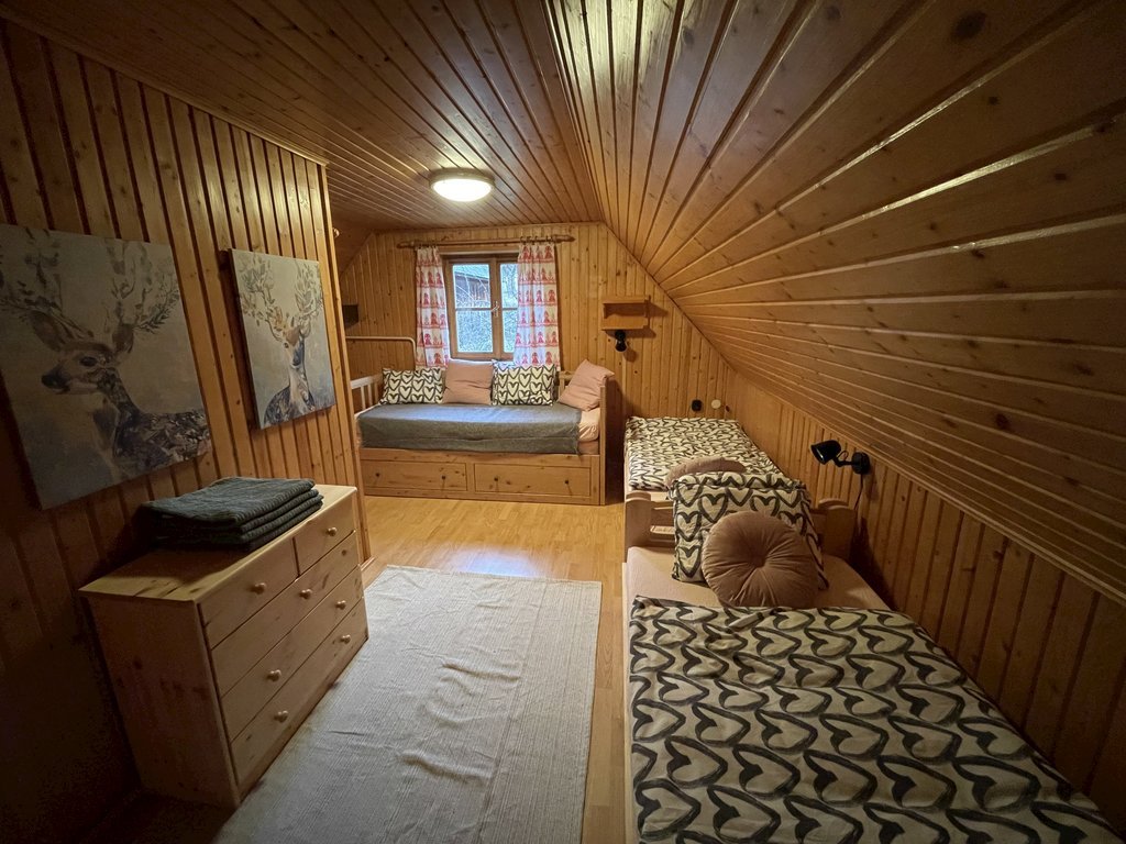 chalupa cicmany cicmany