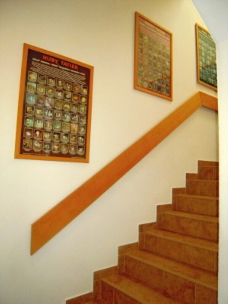 penzion urban — foto 3