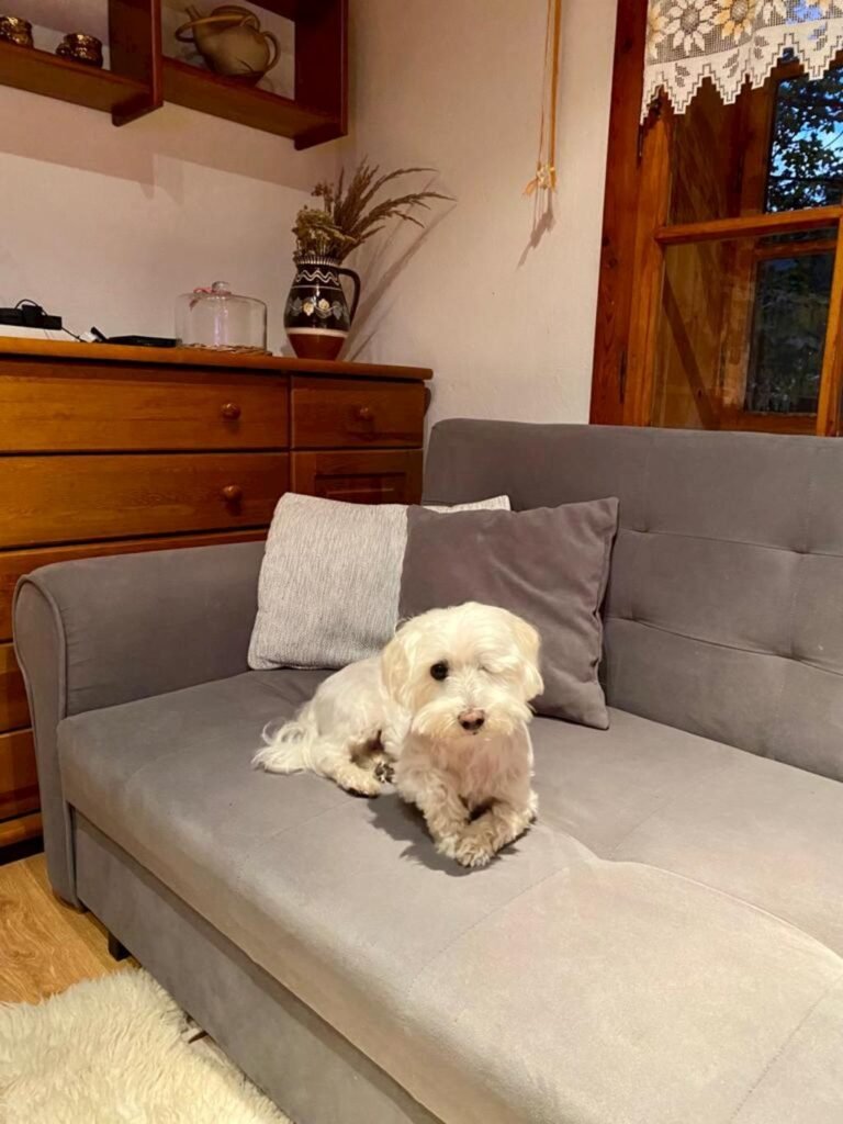 chata zuzana oscadnica — foto 2