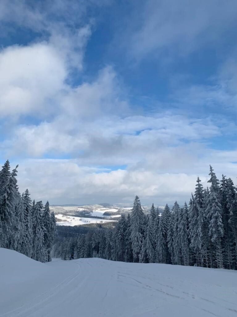 Apartman riviera lipno — foto 7