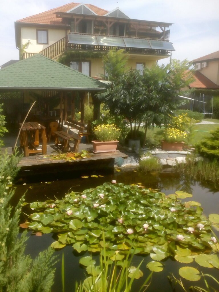 bartal penzion — foto 3