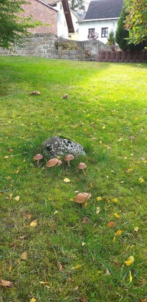 rekreacni dum pohoda — foto 2