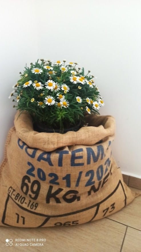 apartmany buket — foto 3