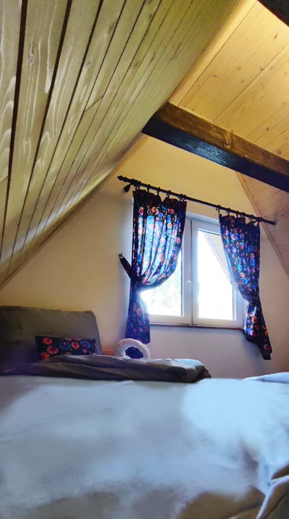 jjparadise — foto 7